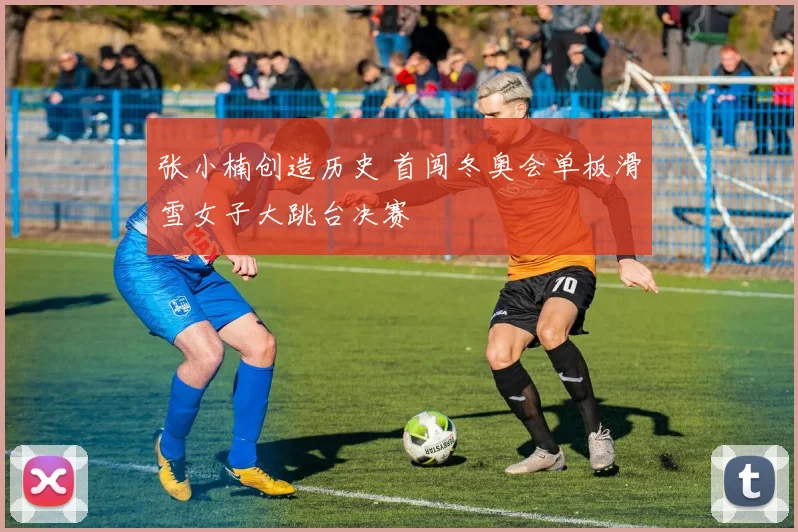 张小楠创造历史 首闯冬奥会单板滑雪女子大跳台决赛