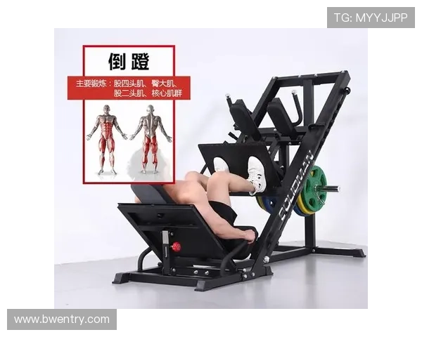 如何选择适合的室内大型健身器材?功能与特点解析 如何选择适合的室内大型健身器材?功能与特点解析