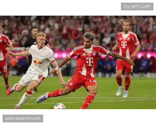 德甲主场最具威慑力的球队及其主场优势分析 德甲主场最具威慑力的球队及其主场优势分析